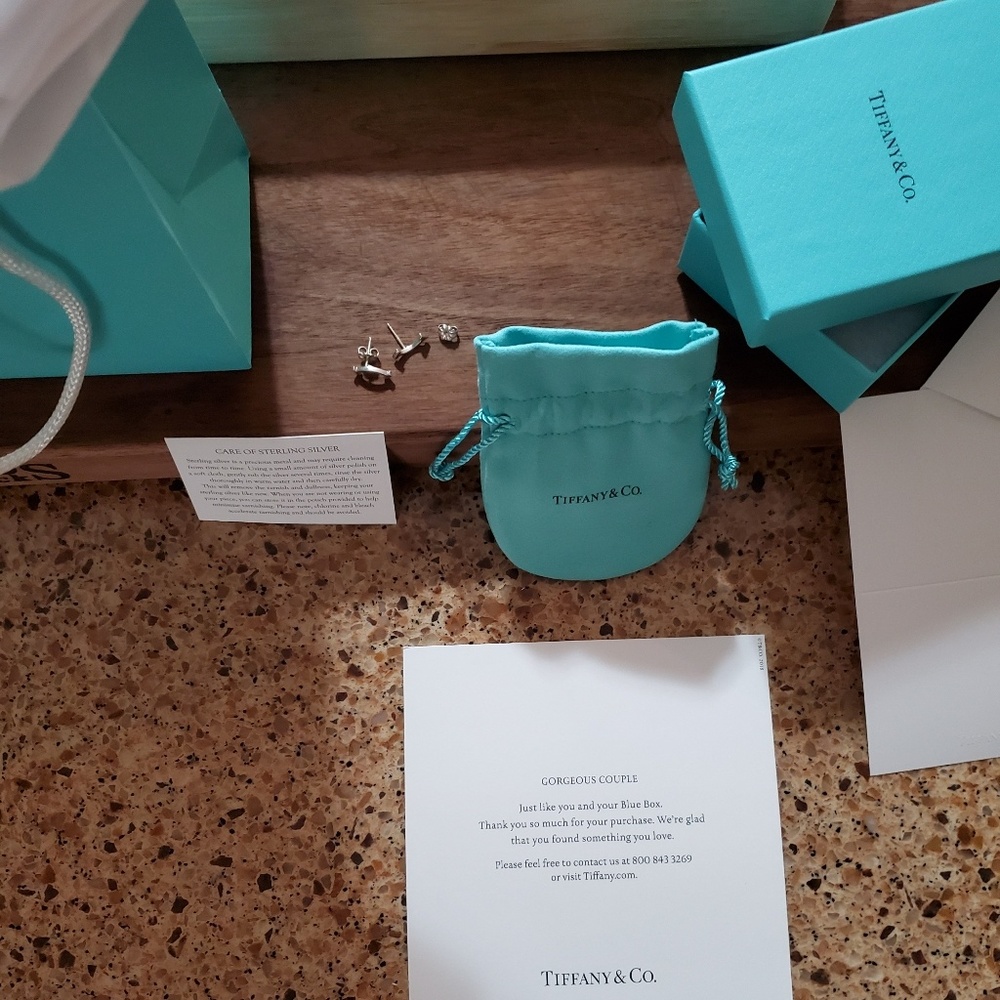 Tiffany & Co. Sterling Silver T Earrings
